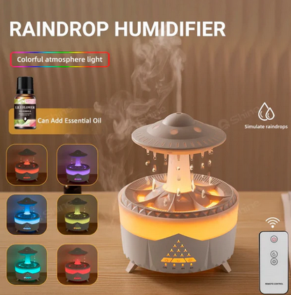 Rain Cloud Humidifier