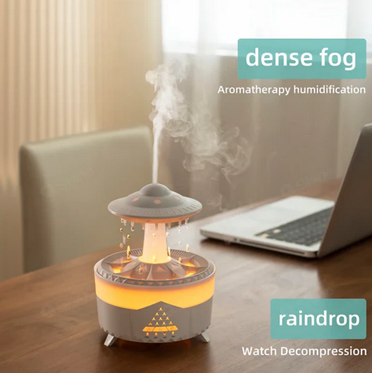 Rain Cloud Humidifier